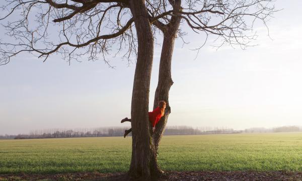 Maia Flore